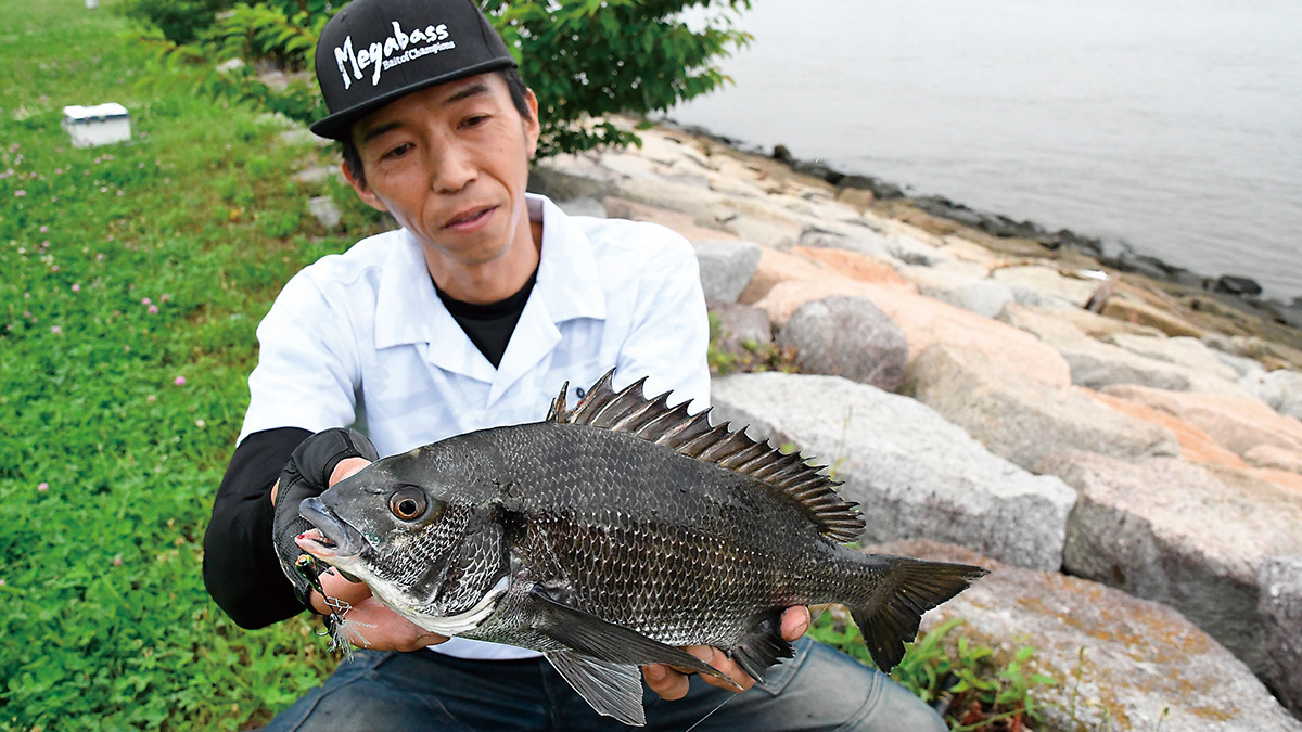 タナゴ釣り　江戸川60 タナゴ釣り江戸川60